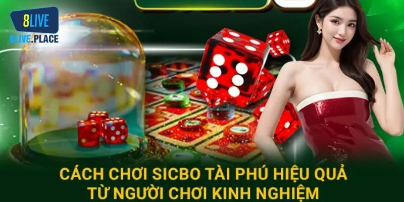 Kinh nghiệm cá cược sicbo tài phú giúp tối ưu hiệu quả